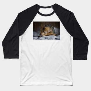 Gray Wolf Baseball T-Shirt